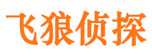 鲁山寻人公司